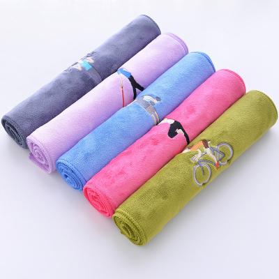 China Other Factory Wholesale Customized Sports Portable Quick Dry Towel For Gym for sale