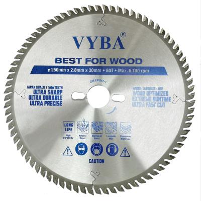 China Wood Cutting 254mm CTT 80T Circular Saw Blade For Hardwood Cutting for sale