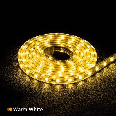 China 2021The High Quality Flexible Neon Strip Hotel Decorative Light Waterproof LED Diode Strip LED Strip for sale