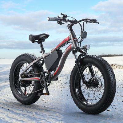 China 20 Inch Long Range Aluminum Alloy Off Road Mountain Snow Bike Electric Bicycle 36V Lithium Battery Fat Tire Electric Beach for sale