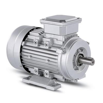 China 7.5kw 380v Three Phase AC Induction Double Speed ​​Motor YE3-132S2-2 for sale