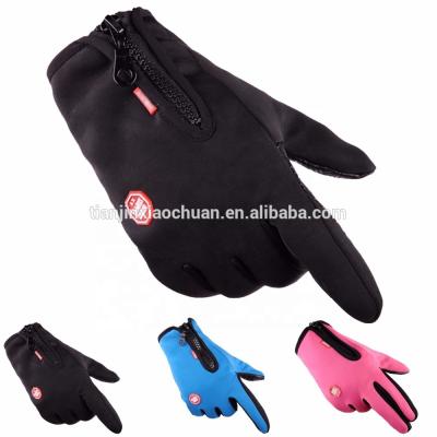 China Full Winter Waterproof Cycling Finger Windproof Others Sports Gloves for sale