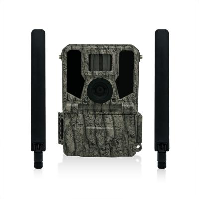 China Keepguard 4G Cellular Wildlife Forest Trail Cameras with APP remote control 36MP 2K/30fps Wild Game for sale