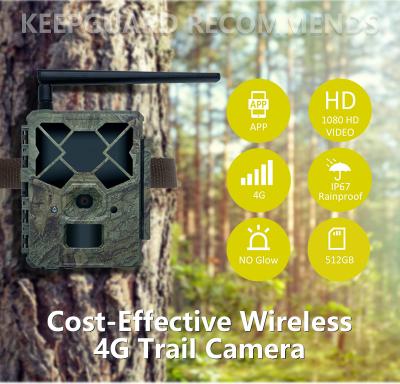 China Cost effective KW886 wildlife camera with APP control 4G sim card 24MP 1080P at 30fps waterproof IP67 night vision game camera for sale