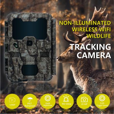 China KW865 WIFI Hidden Camera waterproof IP67 20MP 0.6s trigger speed up to 512GB storage night vision trail Camera for sale