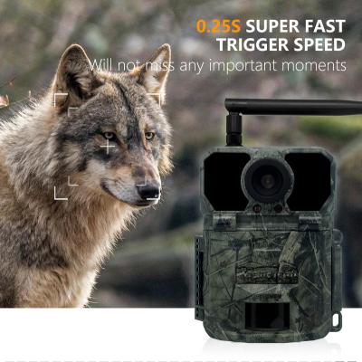 China 4G Jagd-Trail-Kamera KW895 mit APP 2K FHD Video 30MP Bild wasserdicht IP67 bis zu 512GB Speicher für Wildtierforschung zu verkaufen