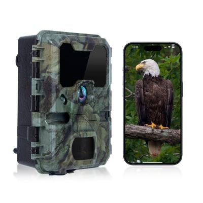 China Trail Camera With Small Size KW788 0.1s Resposta 32MP imagem nítida 4K vídeo à prova d'água IP67 até 512GB para observação de vida selvagem à venda