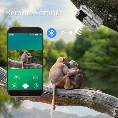 중국 KW865 WIFI 야외 무선 사냥용 숨겨진 카메라 사진을 휴대전화로 보내는 트레일 카메라 판매용