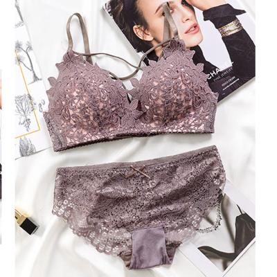 China 2021 new arrivals QUICK DRY plus size transparent bra sets and briefs sexy lingerie lace bra and panty sets for sale