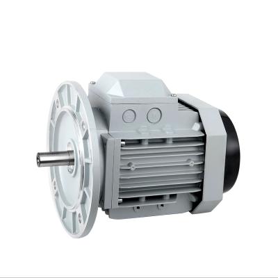 China 220V 2.2KW Electric Motor AC Motor Low RPM Three Phase AC Motor High Torque Drip Proof Small for sale