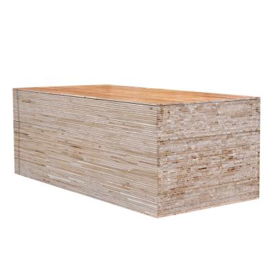 China New China Manufacture Modern High Quality Wood Trim Formwork Plywood 15 Veneer Panel for sale