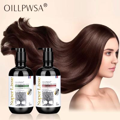 China Wholesale Color-Protecting Private Label Morocco Argan Oil Organic Smooth Hair Best Color-Protecting Shampoo and Conditioner for sale