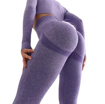 China Breathable Wholesale Sports Wear Comfortable Women Gaiters Seamless Gym Activewear for sale