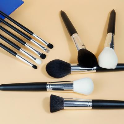 China Angular Blush Makeup Brush Professional 10 Eye Shadow Customization Beginner Portable Makeup Brush Set for sale