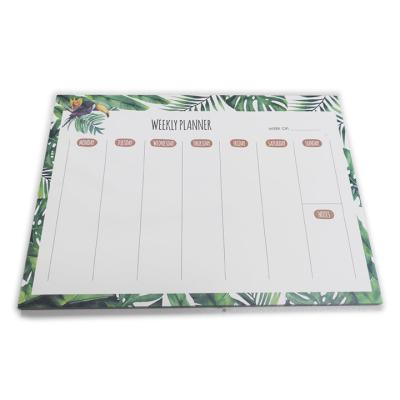 China Weekly Forest Toucan Notepad - Rain Notepad Planner Notebook for sale