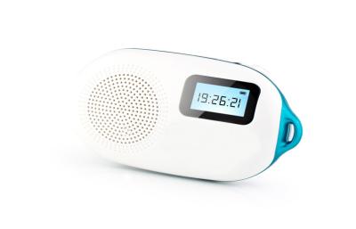 China Anzeigen-Bluetooth-Radioapparat-Sprecher Soem-ODM leistungsfähiger aktiver FM/TF LCD zu verkaufen