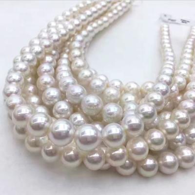 China Wholesale High Quality DIY Handmade 10mm Round  White  Shell Pearl Beads Strand for sale