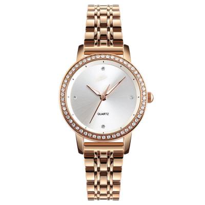 China Stainless Steel Case Back Watch Quartz Watch Women Reloj Mujer 1311 for sale