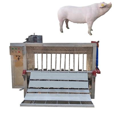 China Professional pig best price pig sheep pluck machine/pig hair removal machine/price of pig pluck machine for sale