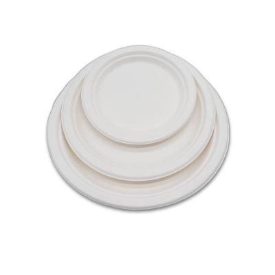 China Soak proof/Mmicrowave safe/Cut Resistant Compostable Round Plates 8