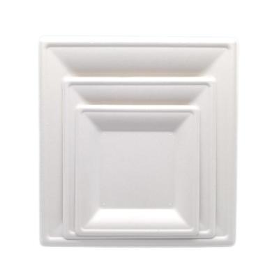 China Soak proof/Mmicrowave safe/Cut Resistant Compostable Square Plates 8 Eco-Friendly 100% Biodegradable Disposable Compostable Safety Microwavable Cheap Square Plate for sale