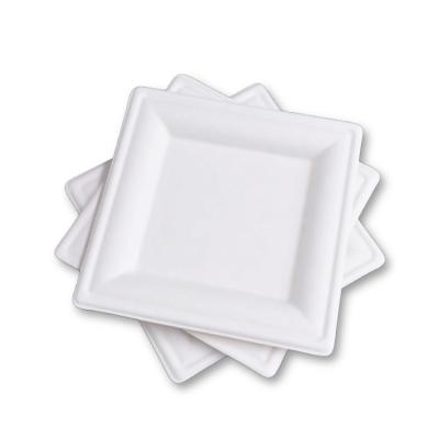 China Soak proof/Mmicrowave safe/Cut Resistant Compostable Square Plates 10 Sugarcane Disposable Big Takeaway Biodegradable Plates for sale