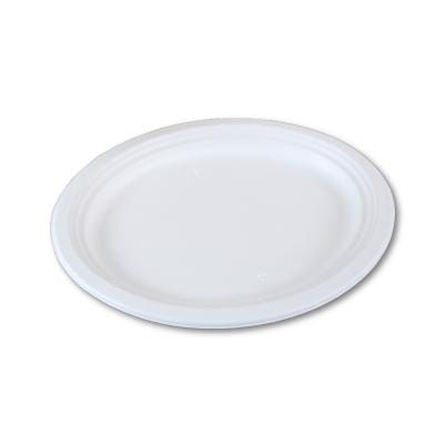 China Soak proof/Mmicrowave safe/Cut Resistant Small Compostable Oval Plates 107.5 Moulded Sugarcane Pulp Biodegradable Disposable Plate for sale