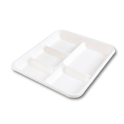 China Soak proof/Mmicrowave safe/Cut Resistant 5-Compartment Compostable Tray Eco Friendly School Wholesale Disposable 5 Compartment Lunch Plate For Restaurant for sale