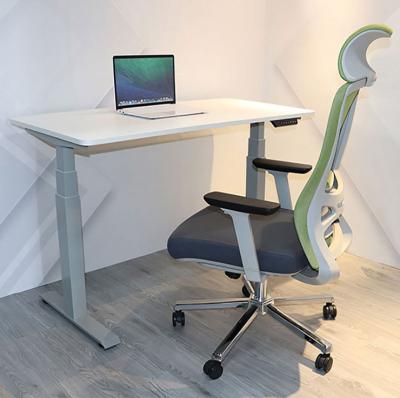 China Height Adjustable Modern Boss Study Dual Motor Electric Standing Desk with Metal Column for sale