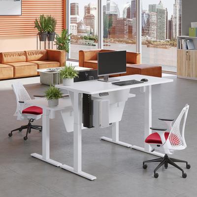 China Intelligent Electric Dual Motor Sit Stand Desk for Office and School Workstations for sale