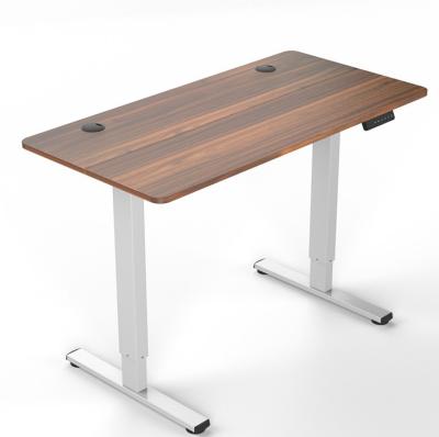 China Height Adjustable Electric Desk for Custom Student Wood Writing in Zhejiang School for sale