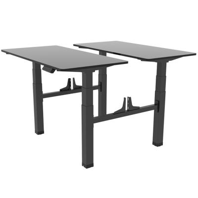 China Customized Black and White Metal Dual Motor Electric Sit Stand Desk for Office for sale