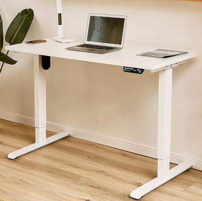 China SPCC Steel/Iron Frame Material Custom Design Electric Height Adjustable Desk Base for Small Home Office for sale