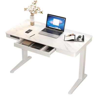 China Electric Height Adjustable Wooden Sit-Standing Laptop Desk for Custom School Students for sale