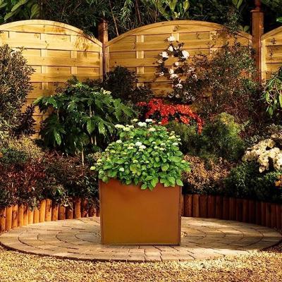 China CLASSIC Modern outdoor for garden corten steel flower pot/planter for sale