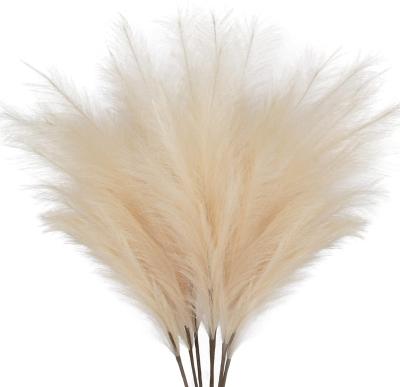 China Festival Decoration TaiLai Pampas Grass Tall Fluffy Reed Grass Artificial Flower Boho Decor For Vase Filler Farmhouse Home Wedding for sale