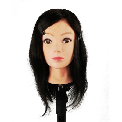 China Salon Teaching Tools Washable Plastic Female Manikin Training Head With Hair Wig for sale