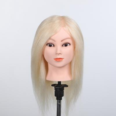 China Japan Silky Straight Wave Manufacturer Popular Mannequin Training Head Barber Training Head for sale