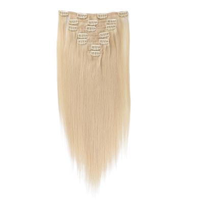 China Larger Picture Clip I European Virgin Hair Double Drawn Extension Pure Natural Double Drawn European Virgin Human Hair Ha Tape for sale