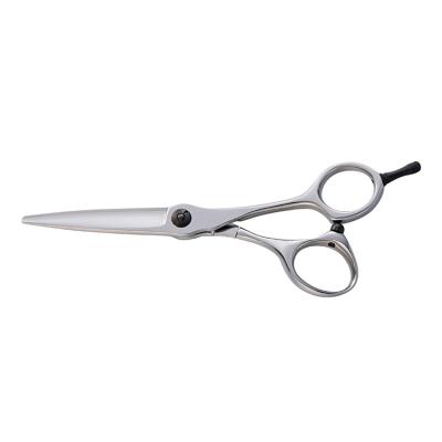 China Professional Beauty Salon Hairdresser and Barber Stainless Hairdressing Scissors for sale