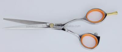 China Professional Beauty Salon and Hairdresser Pakistan Hair Scissors Hairdressing Scissors Shear Barber Salon for sale