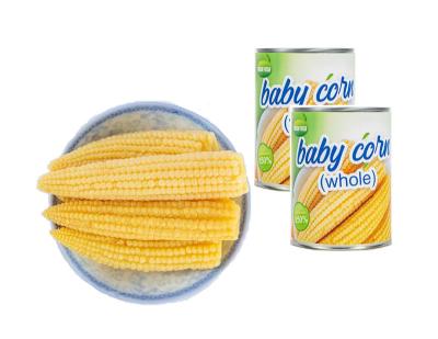 China Canned Whole Baby Corn for sale