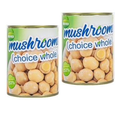 China canned canned mushroom for sale