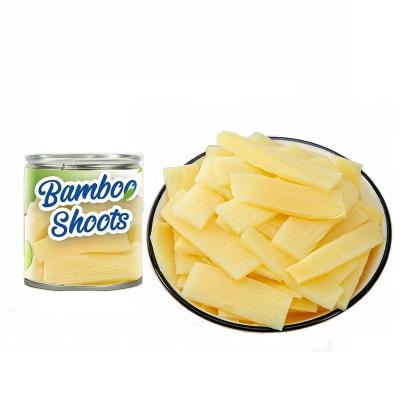 China New canned culture factory supplier canned bamboo shoot whole/halves/slices/strips 227g/425g/567g/2980g for sale