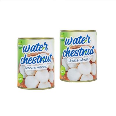 China /Boxed Slices New All Season Factory Water Chestnut By Supplier Boxed/Cutting Tin 227g/425g/567g/850g/3000g for sale