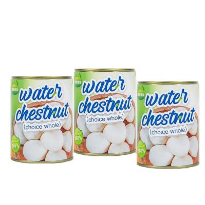 China /Boxed Slices New All Season Factory Water Chestnut By Supplier Boxed/Cutting Tin 227g/425g/567g/850g/3000g for sale