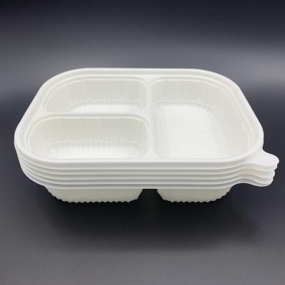 China Customized Eco-friendly Recyclable PLA Fast Food Disposable Large Capacity Take Out Box With Lid for sale