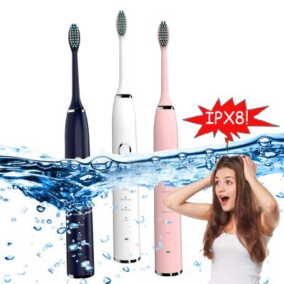 China Battery Operated 100 Days Endurance Time IPX8 Sonic Toothbrush Electric Toothbrush Adult Multifunctional Waterproof for sale