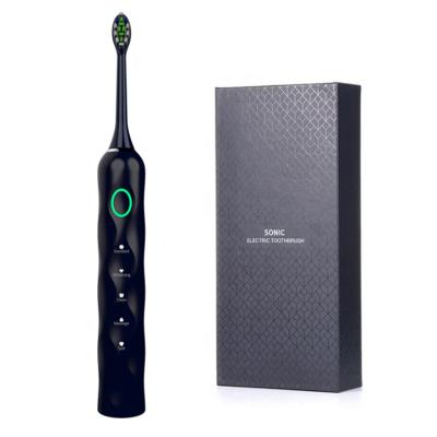 China Food Grade PP Material Factory Directly Sell Long Use Time Ipx8 Waterproof Ultrasonic Electric Toothbrush for sale