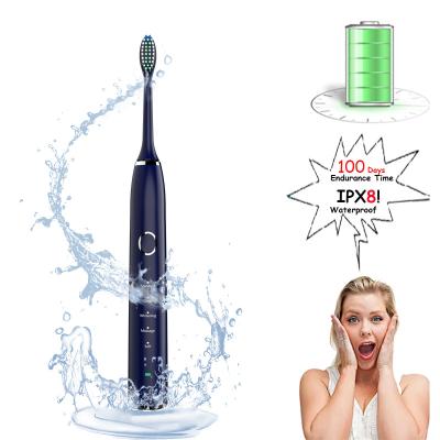 China Sonic Electric Toothbrushes Replacement Smart Adult Toothbrush Food Grade Nylon Bristles Dupont Design Toothbrush Best New Other Oral Hygiene Products for sale